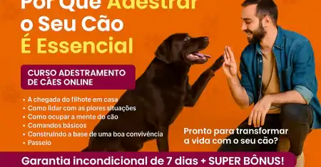 Curso Adestramento de Cães Online: Resultados Reais!