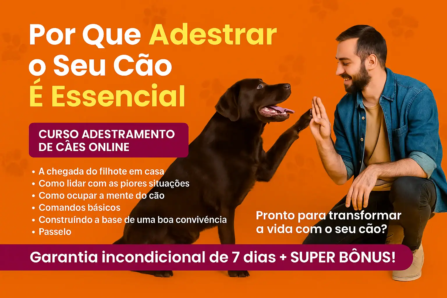 curso adestramento de cães online
